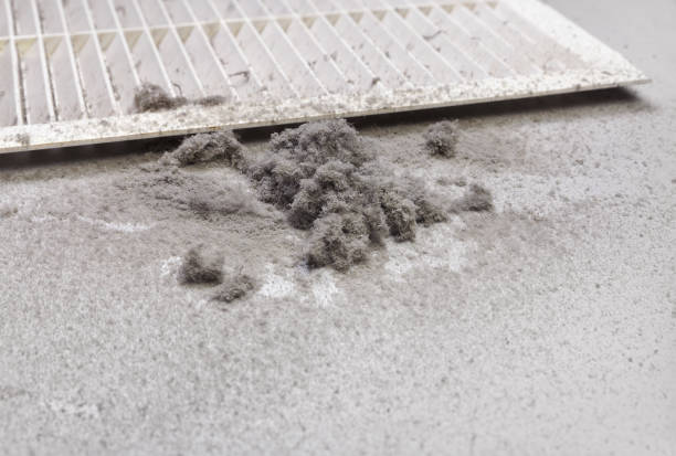 Best Duct Cleaning for Homes  in Andusia, AL