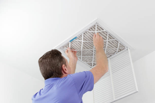 Best Home Air Vent Cleaning  in Andusia, AL